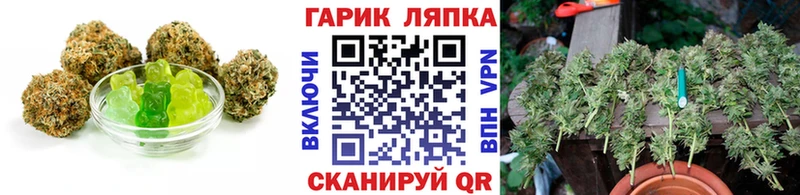 как найти закладки  Кодинск  Cannafood конопля 