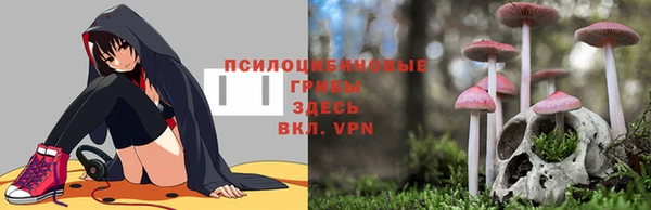 шишки Балахна