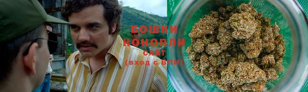 шишки Балахна